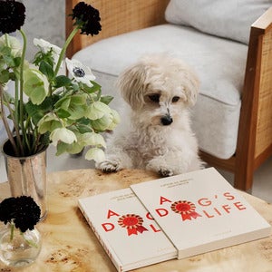 Hundedagbok A Dog's Life