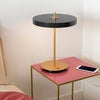 Asteria table Bordlampe Ø31 cm Anthrachite Grey
