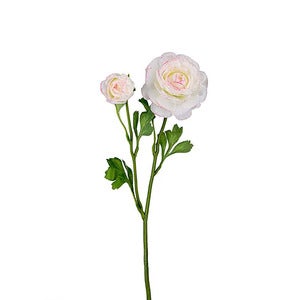 Ranunkel snittblomst 45 cm flerfarget