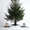 Juletrefot Silver