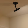 Asteria Spot Black